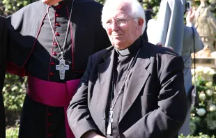 Cardenal Antonio Cañizares. Foto: ACI Prensa / Daniel Ibañez 