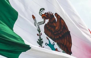 Imagen referencial. Cru00e9dito: Jorge Aguilar / Unsplash. 