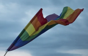 Imagen referencial. Cru00e9dito: Unsplash 