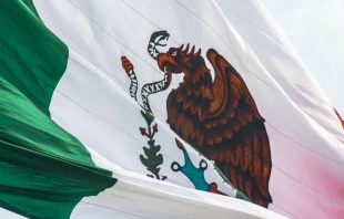 Imagen referencial. Cru00e9dito: Jorge Aguilar / Unsplash. 