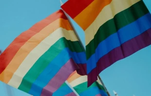 Imagen referencial / Banderas gay. Cru00e9dito: daniel james / Unsplash. 