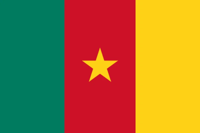 Sacerdotes y religiosa liberados en Camerún: Sentíamos la oración de la Iglesia con nosotros