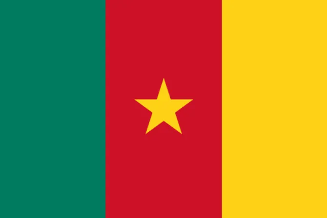 Sacerdotes y religiosa liberados en Camerún: Sentíamos la oración de la Iglesia con nosotros