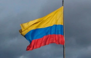Bandera de Colombia. Cru00e9dito: Felipe Restrepo Acosta / Wikipedia (CC BY-SA 4.0) 