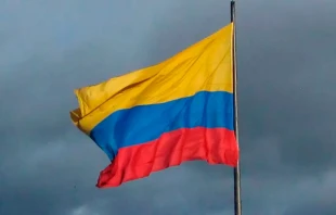Bandera de Colombia. Cru00e9dito: Felipe Restrepo Acosta / Wikipedia (CC BY-SA 4.0) 
