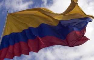 Imagen referencial / Bandera de Colombia. Foto: Flickr Politu00e9cnico Grancolombiano Departamento de Comunicaciones (CC BY-NC 2.0). 