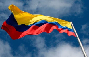 Imagen referencial / Bandera de Colombia. Foto: Wikipedia / Por La Regiu00f3n (CC-BY-SA-3.0). 