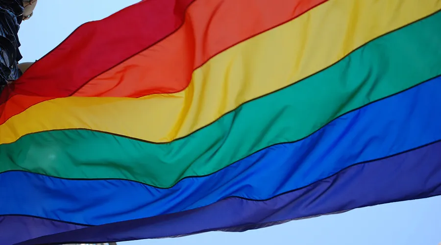 Obispos advierten del peligro de aplicar ley de transexualidad en menores