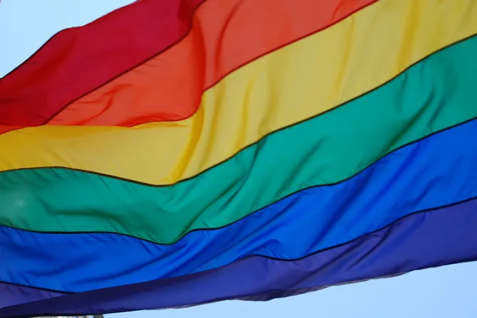 Obispos advierten del peligro de aplicar ley de transexualidad en menores