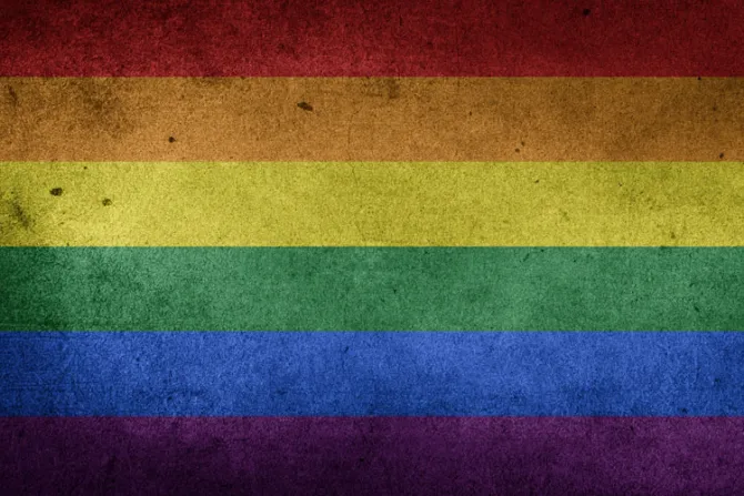 Alertan que proyecto de ley normalizaría sexo homosexual con menores en Chile