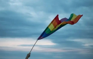 Foto referencial. Cru00e9dito: Unsplash 