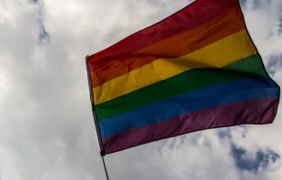 Imagen referencial / Bandera gay. Foto: Flickr Emma (CC BY 2.0) 