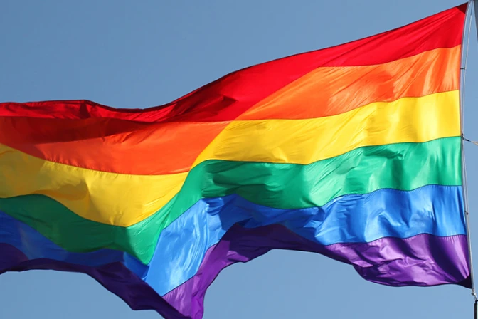 Gobierno del Perú abusó de facultades legislativas con decreto pro gay, afirma experto