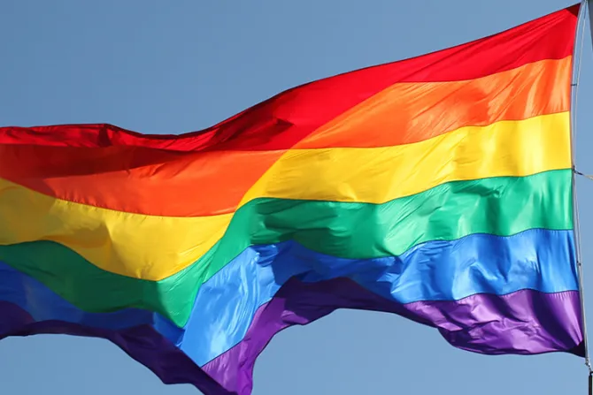 Gobierno del Perú abusó de facultades legislativas con decreto pro gay, afirma experto