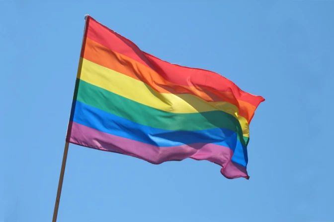 Vocero de obispos españoles: Ideología de género es incompatible con el cristianismo 