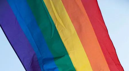Corte Interamericana pretende imponer agenda gay en América Latina