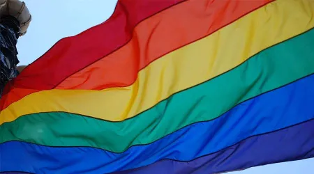 Pintan bandera gay en cruce peatonal frente a Catedral mexicana