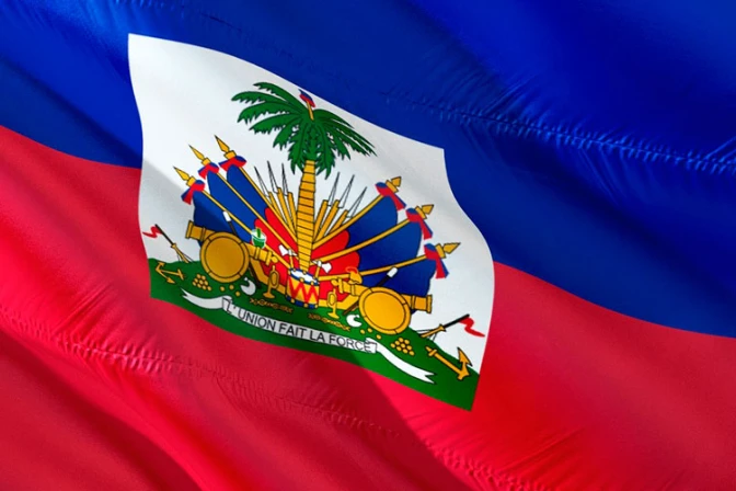 Papa Francisco nombra nuevo obispo para Haití