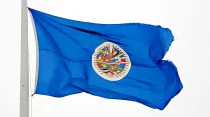 Bandera de la Organización de Estados Americanos. Foto: Juan Manuel Herrera / OAS.