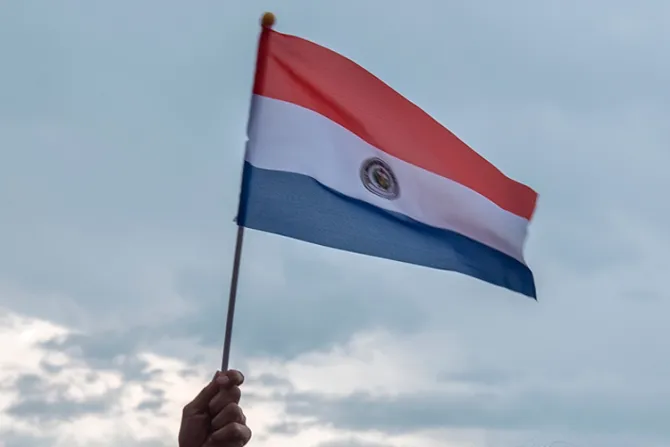 Senado de Paraguay se declara provida y profamilia