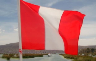 Imagen referencial / Foto: Flickr Ronancrowley (CC BY-ND 2.0) 