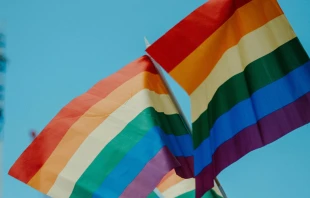 Foto referencial. Cru00e9dito: Daniel James / Unsplash 