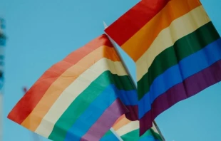 Imagen referencial / Banderas gay. Cru00e9dito: daniel james / Unsplash. 