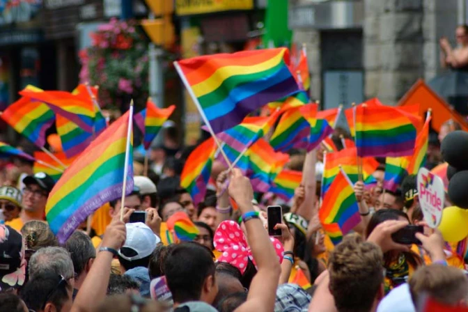 Lanzan portal sobre los peligros de la ideología de género