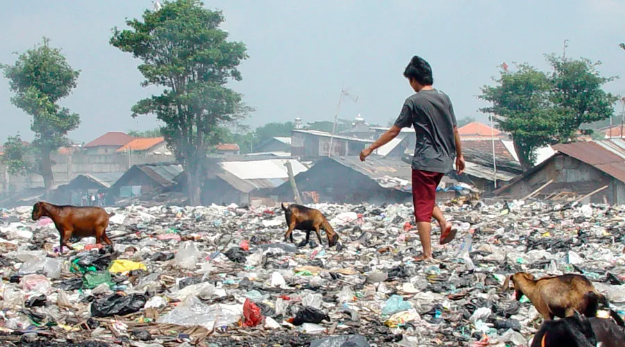 Campo de basura en India. Foto: Wikipedia (CC-BY-2.0)?w=200&h=150