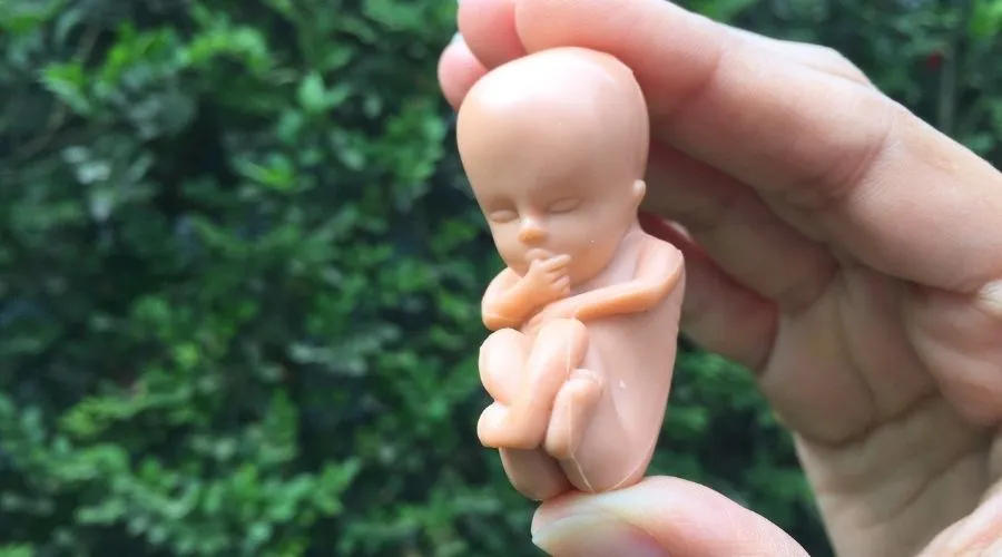 Imagen referencial / Figura de bebé en el vientre a las 12 semanas de gestación. Crédito: David Ramos / ACI Prensa.