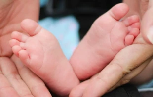 Imagen referencial. Cru00e9dito: Bonnie Kittle / Unsplash. 