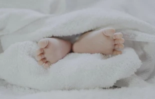 Imagen referencial. Cru00e9dito: Fu00e9 Ngu00f4 / Unsplash. 