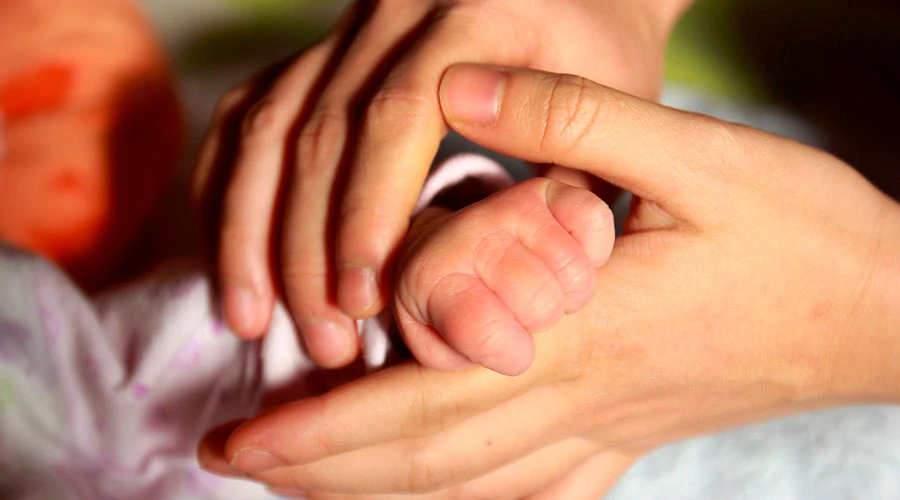 imagen referencial / Cru00e9dito: Pixabay (Dominio Pu00fablico)?w=200&h=150