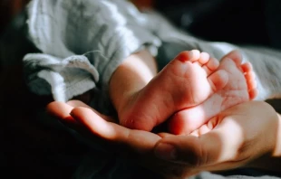 Imagen referencial. Cru00e9dito: Omar Lopez / Unsplash. 