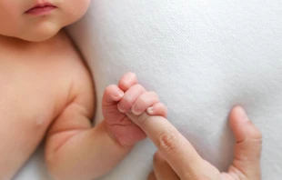 Foto referencial. Cru00e9dito: Shutterstock 