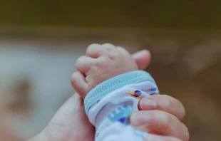 Imagen referencial. Cru00e9dito: Unsplash 