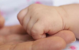 Imagen referencial. Cru00e9dito: engin akyurt / Unsplash. 