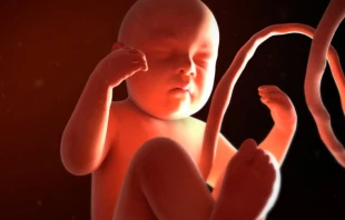 Imagen referencial. Cru00e9dito: Medical Graphics / Wikimedia Commons (CC BY ND 4.0). 