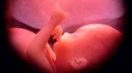 Senado de Pensilvania debate proyecto para cremar o enterrar los restos de fetos abortados