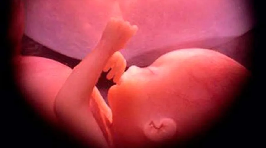 Bebé de 30 semanas en el vientre materno. Crédito: Ivon19 / Wikipedia (dominio público) (CC-BY-SA-4.0)