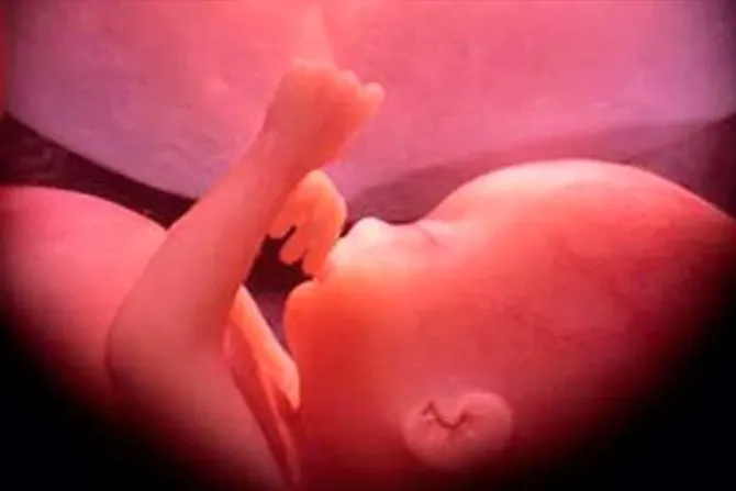 Justicia en Argentina investiga presunto aborto de bebé de 6 meses de gestación