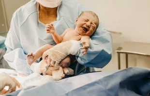 Imagen referencial | Cru00e9dito: Pexels 