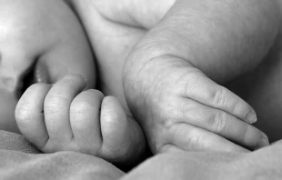 Imagen referencial / Cru00e9dito: Pexels 