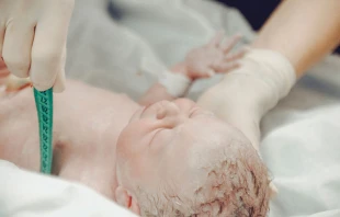 Imagen referencial | Cru00e9dito: Pexels 