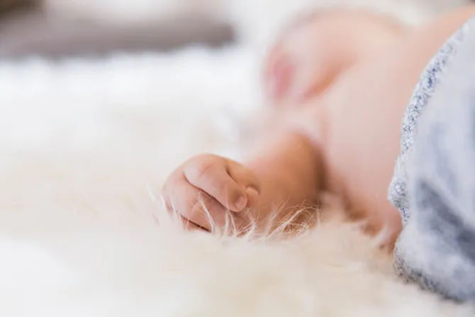 Universidad creará úteros artificiales para ayudar a bebés prematuros