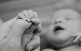 Bebu00e9 / Pixabay(Dominio Publico)  