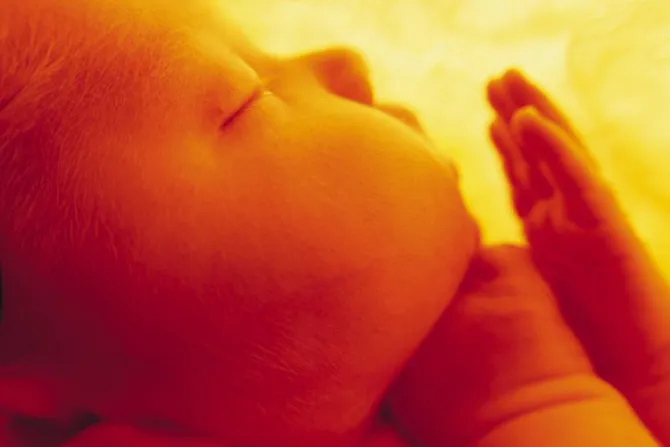 Abortista propone quemar cuerpos de bebés abortados para generar energía