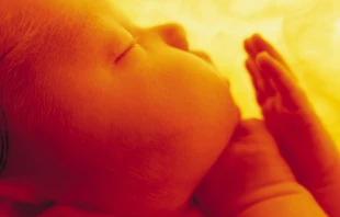 Imagen referencial / Cru00e9dito: Pixgood (Dominio Pu00fablico) 