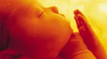 Bebé en el vientre materno / Pixgood (Dominio Público) 