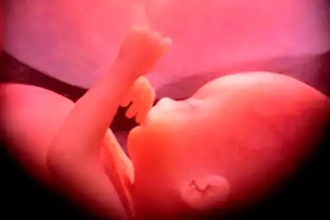 Ex gerente de Planned Parenthood: No "se refieren a ningún feto como un bebé"